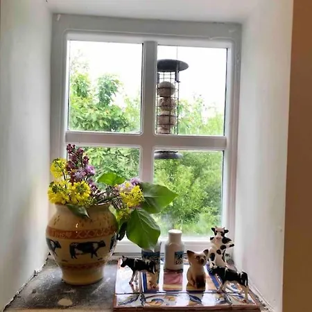 The Milking Parlour Collinstown (Westmeath)