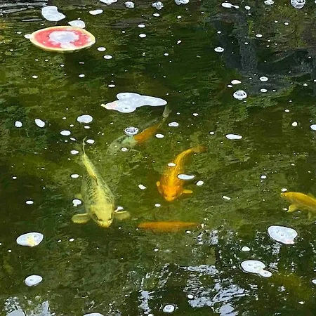 Casa vacanze The Milking Parlour *