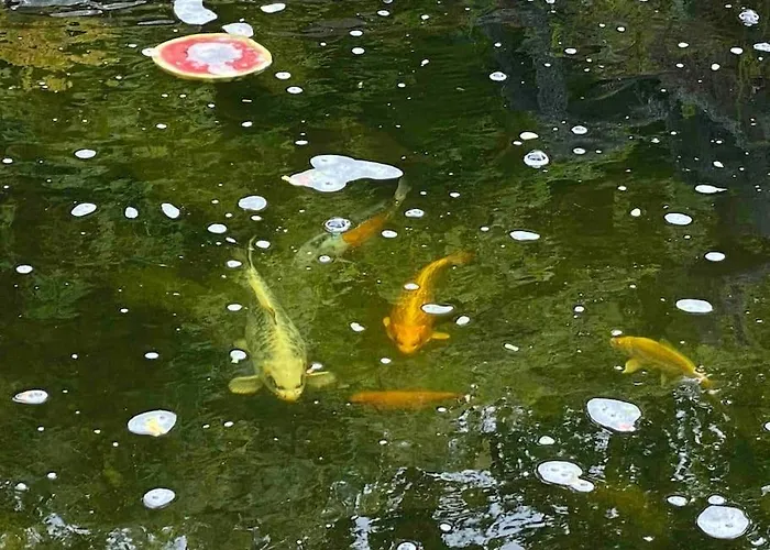 別荘 The Milking Parlour *